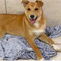 Thumbnail photo of Mikey #3