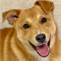 Thumbnail photo of Mikey #4