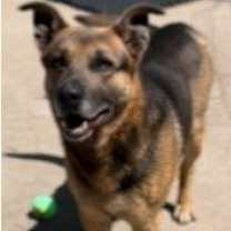 Thumbnail photo of Wallace #1