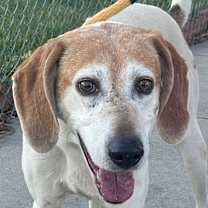 Thumbnail photo of Baby Maggie #3