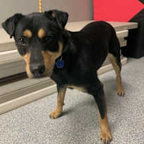 Thumbnail photo of McGraw #1