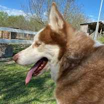 Thumbnail photo of Oji #3