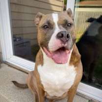 Thumbnail photo of Bonnie #4