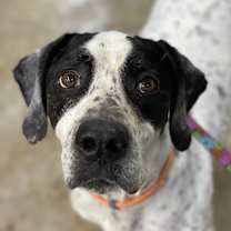 Thumbnail photo of Johnny #1