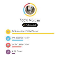 Thumbnail photo of Morgan #4