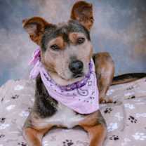 Thumbnail photo of Sol #1