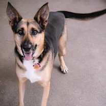 Thumbnail photo of Evie #4