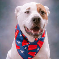 Thumbnail photo of Sporty Spots #2