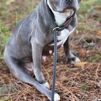 Thumbnail photo of Danica #1