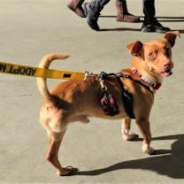 Thumbnail photo of Trio #1