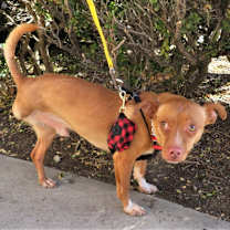 Thumbnail photo of Trio #3