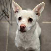 Thumbnail photo of Owen #1