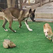 Thumbnail photo of Cielo Chula #2