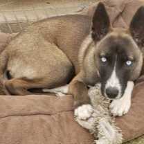 Thumbnail photo of Cielo Chula #3