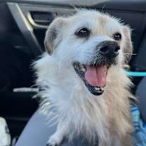 Thumbnail photo of Finley #1