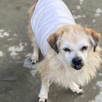Thumbnail photo of Finley #3