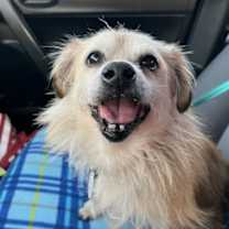 Thumbnail photo of Finley #4