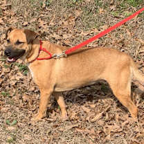 Thumbnail photo of DAISY #4