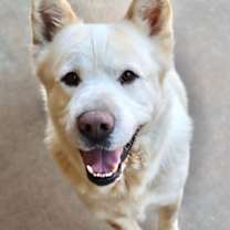 Thumbnail photo of Duke 2 #1