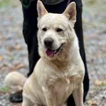 Thumbnail photo of Duke 2 #4