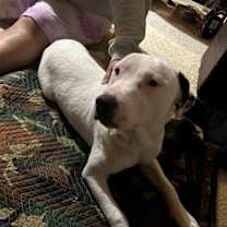 Thumbnail photo of Angel #2