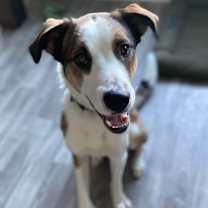 Thumbnail photo of Solo #1