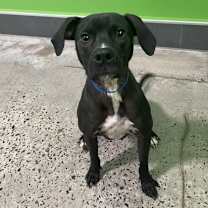 Thumbnail photo of Max #1