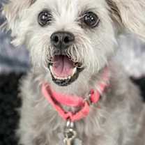 Thumbnail photo of Bessie #1