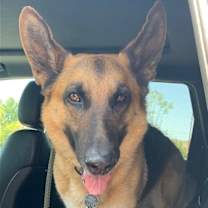 Thumbnail photo of Zeus 4839 #1