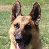 Thumbnail photo of Zeus 4839 #2