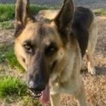 Thumbnail photo of Zeus 4839 #3