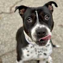 Thumbnail photo of Sandy #1