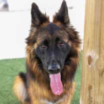 Thumbnail photo of Micah #1