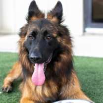 Thumbnail photo of Micah #2