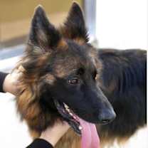 Thumbnail photo of Micah #3