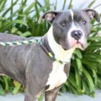 Thumbnail photo of Valentine #2