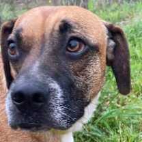 Thumbnail photo of Tyson #3