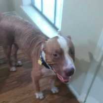 Thumbnail photo of Maxx #3