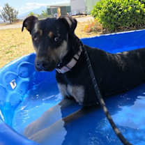 Thumbnail photo of Toni #3