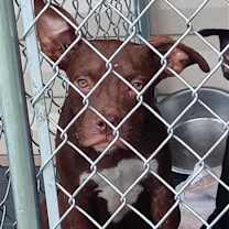 Thumbnail photo of Rupert #2