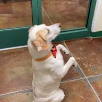 Thumbnail photo of Harvey #3