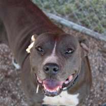 Thumbnail photo of Dorothy #2