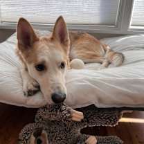 Thumbnail photo of Atreyu #3