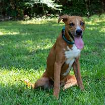 Thumbnail photo of Bruce #1