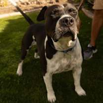 Thumbnail photo of MOSLEY #4