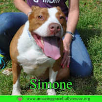 Thumbnail photo of Simone #1