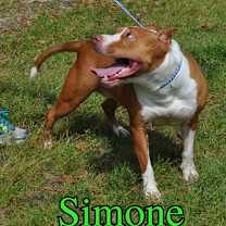 Thumbnail photo of Simone #2