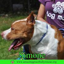 Thumbnail photo of Simone #4