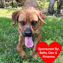 Thumbnail photo of Bandit #1