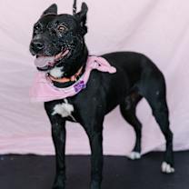 Thumbnail photo of Tammy #3